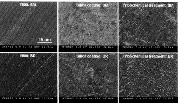 Fig． 3 　 Typical 　 SEM 　 phot ｛レ graphs （ × 2000 〕 Qf 　 fractured 　 surfaees 　 Iuted 　 wi 面 SM 　 and 　 BR ．