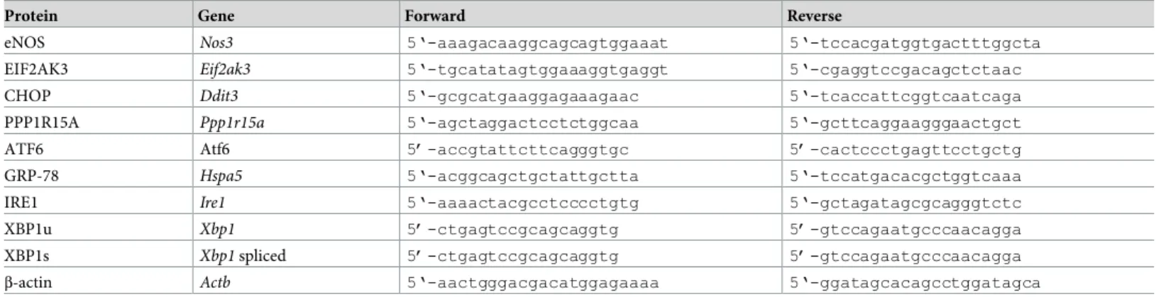 Table 1. Primer sequences.
