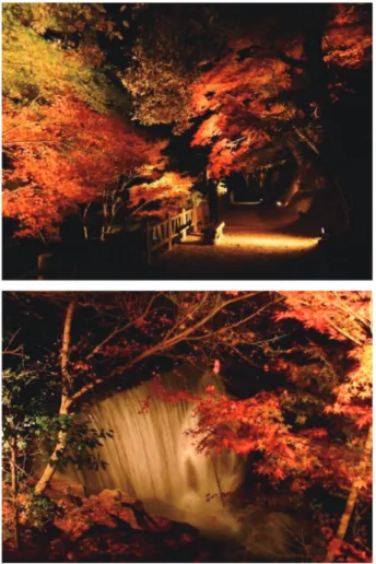 Fig. 9  Process of setting landscape lighting guidelines  applied to Miyazaki Prefecture.