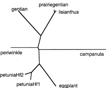 図 3 　 F ， 3’ 5， H 遺 伝 子 の 分 子 系 統 樹 NJ 法 の 計 算 結 果 に 基 づ い て 分 子 系統 樹 を 描 画 した ． DDBJ 　 databases，　 Dl4590 ） で デ ー タ を 公 開 し て い る ． こ れ ら 以 外 に Holton ら は ペ チ ュ ニ ア か ら Hfl と 劫 2 に 関 す る 2 つ の 遺 伝 子 を 単 離 し て yeast で 発 現 さ せ て 機 能 を 証 明 し て お り 9   同 じ グ 