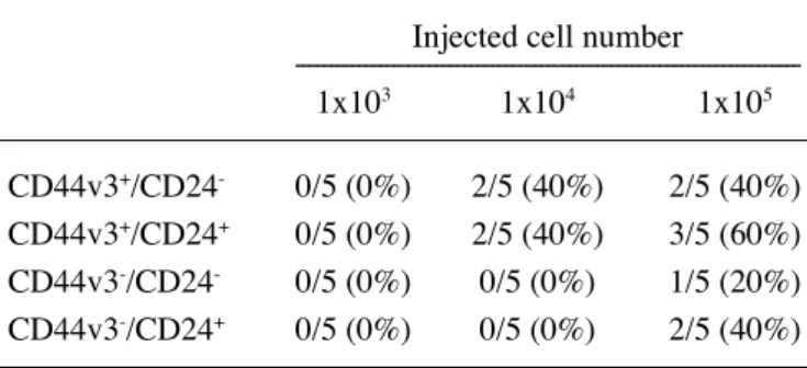 Figure 2. biological features of sorted cell fractions in SAS and OSC20 in vitro. (A) CD44v3 + /CD24 -  cells in SAS show a higher proliferative ability than that  of CD44v3 - /CD24 -  and CD44v3 - /CD24 +  cells