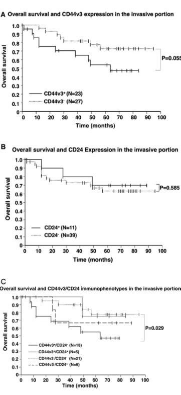 Figure 6. Overall survival (OS) rates and CD44v3/CD24 immunophenotypes  in the invasive portion