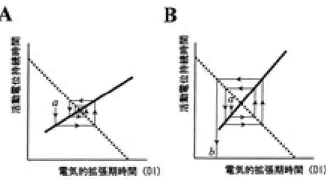 図 7 ARI restitution 曲線の代表例（A）と同曲線 の最大勾配の群間比較（B）の変動は雪崩的に拡大し，ある時点で電気的な受攻期に心筋を刺激することでこれを基盤に細動にいたると考えられる（細動のrestitution仮説4），5））．そ こ で，私 ど も は 実 験 的 に 心 不 全 を 作 成 しrestitution仮説が心不全における不整脈の発生に当てはまるかどうかを検証した6）．不全心は慢性的に高頻度ペーシング（心拍数200/分）を心筋に2週間の期間，加えて作成した．まず，不全心で