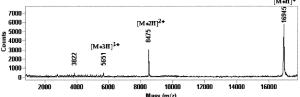 Fig. 14. Partial in-source decay spectrum of horse hurt apomyoglobin (M r 16,951). Dot indicates a pair of (z ῑ2)- and y-ions in the mass di#erence 15 u.