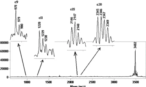Fig. 20. In-source decay spectrum of human glucagons (M r 3,482.8) and the several isotopic patterns for c-ion observed.