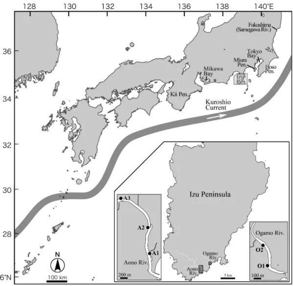 Fig. 1. Map of the study region in southern Izu Peninsula, Japan. Three sampling sites for  Aono River (A1, A2, and A3) and 2 for Ogamo River (O1, O2) are also shown