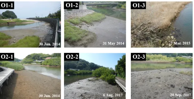 Fig. 3. Two sampling sites in the Ogamo River mouth. O1 was located 0.3 km, and O2 was 0.55 km from  the river mouth