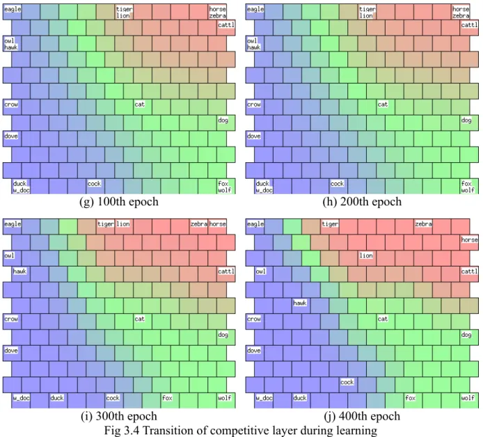 Fig 3.4 Transition of competitive layer during learning 