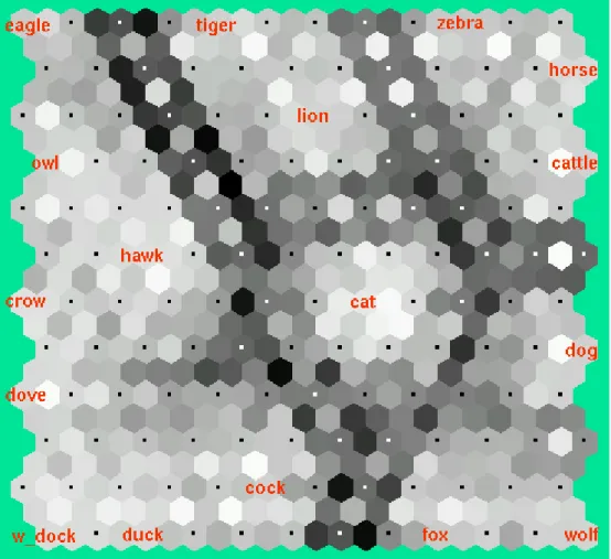 Fig 3.5 Feature Map of animals 