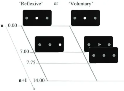 図   2 Visually guided saccade ( 左 ) と voluntary saccade ( 右 )  左の visually guided saccade (‘Reflexive’)  では、周辺視野に提示され た視覚刺激（この場合はスクリーン中央の固視点よりも右側の点）に対 してサッカードをおこなう。一方、右の   voluntary saccade (‘Volontary’)  では、スクリーン中央の固視点がサッカードの方向を指示する cue に変 化し、cue が示す方向にサッ