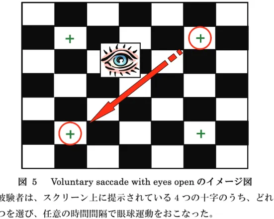 図   5   Voluntary saccade with eyes open のイメージ図
