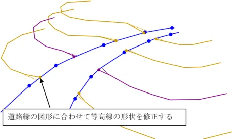 図  10    3 次元で座標一致させたデータの例 道路縁の図形に合わせて等高線の形状を修正する 