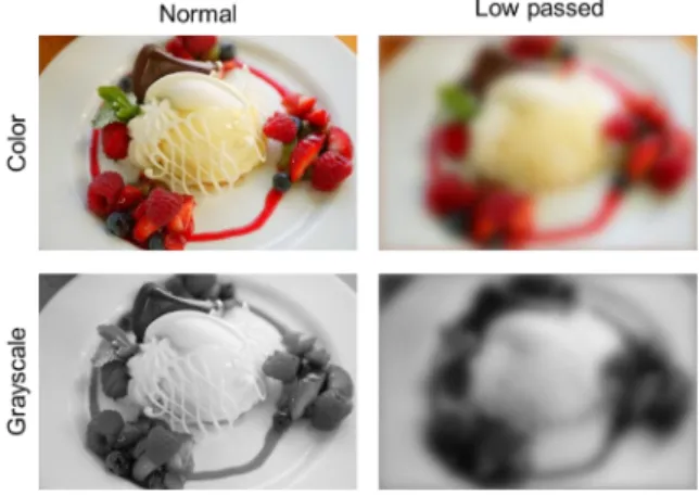 Figure 1.   Sample stimuli for pleasant picture: 