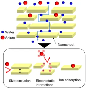 Fig.  1  Schematic  image  of  water  permeation  and  separation  of  solutes  for  laminar  nanosheet  membrane