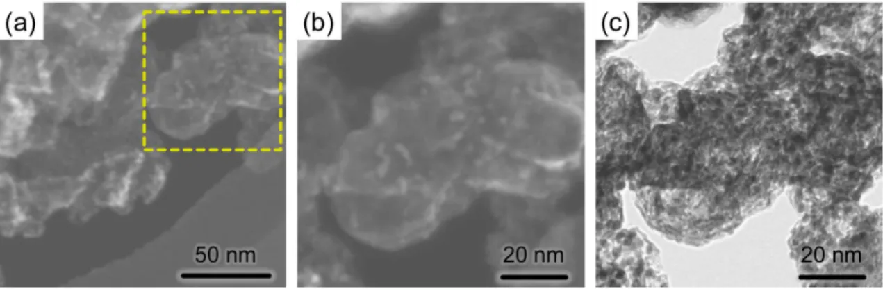 Figure 2-2. Bright-field ((a) and (b)) and dark-field (c) SEM images for the SnO 2 /KB (45/55) composite