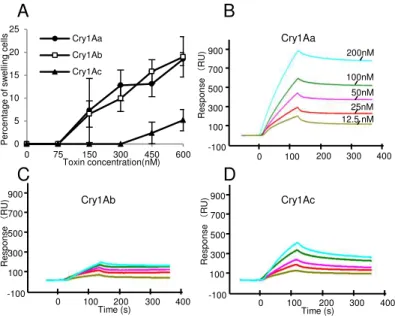 Fig. 18. BtR175 functions as a receptor for  Cry1A toxins only at a high concentration