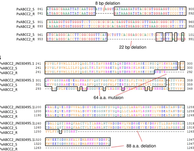 Fig. 19. Sequence alignments of the first mutation site found in  PxABCC2_R.  