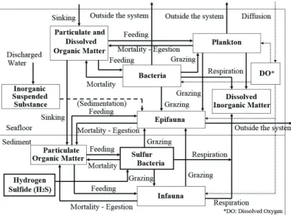 図 3.2  熱水活動域における生物影響解析モデルの構成要素  生物影響解析モデルを用いた解析手順を図 3.3 に示す．図 2.2 に示した流動解析及び無機懸濁態粒子の挙動解析 の手順に，生物影響に関するデータの入力及び生物影響解析モデルによる解析（図中赤字で表示）を追加したも のである．生物影響解析モデルで使用する洋上施設からの排水及び採掘過程で飛散した粒子の堆積量は，第 2 章 で記載した排水挙動モデル及び第 4 章で記載する局所領域における粒子挙動解析により得られた計算結果を使用 した．無機懸濁態粒子