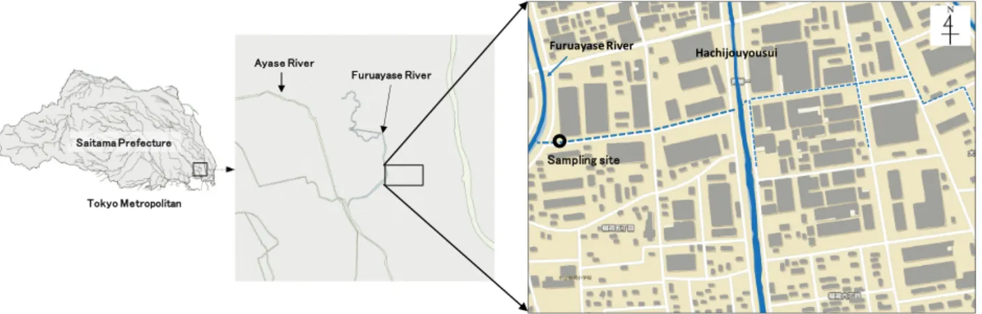 Fig. 1  Location of Furuayase River and sampling site of the drainage The dashed lines show the drainage ditches.