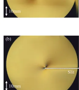 Figure 9　Visualization result of stresses of the acrylic plate  using sensitive tint method.