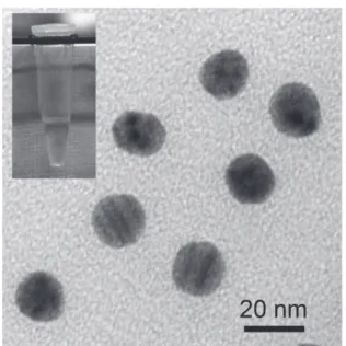 Figure 5  TEM（left）image of a lamellae structured PVCa- PVCa-b-PSt ﬁlm containing Ag nanoparticles.