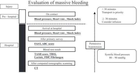 Figure 1 Advance trauma life support care