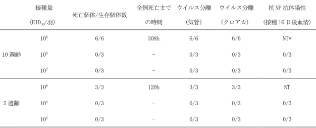 図 4  家きんを用いた経鼻感染実験  ニワトリ（SPF 白色レグホン種）  接種量  (EID 50 /羽）  死亡個体/生存個体数  全例死亡までの時間  ウイルス分離 (気管)  ウイルス分離 (クロアカ）  抗 NP 抗体陽性  (接種 16 日後血清)  10 週齢  10 6 6/6  308h  6/6  6/6  NT* 1040/3 - 0/3 0/3 0/3  10 2 0/3  -  0/3  0/3  0/3  5 週齢  10 6 3/3  120h  3/3  3/3  NT 1