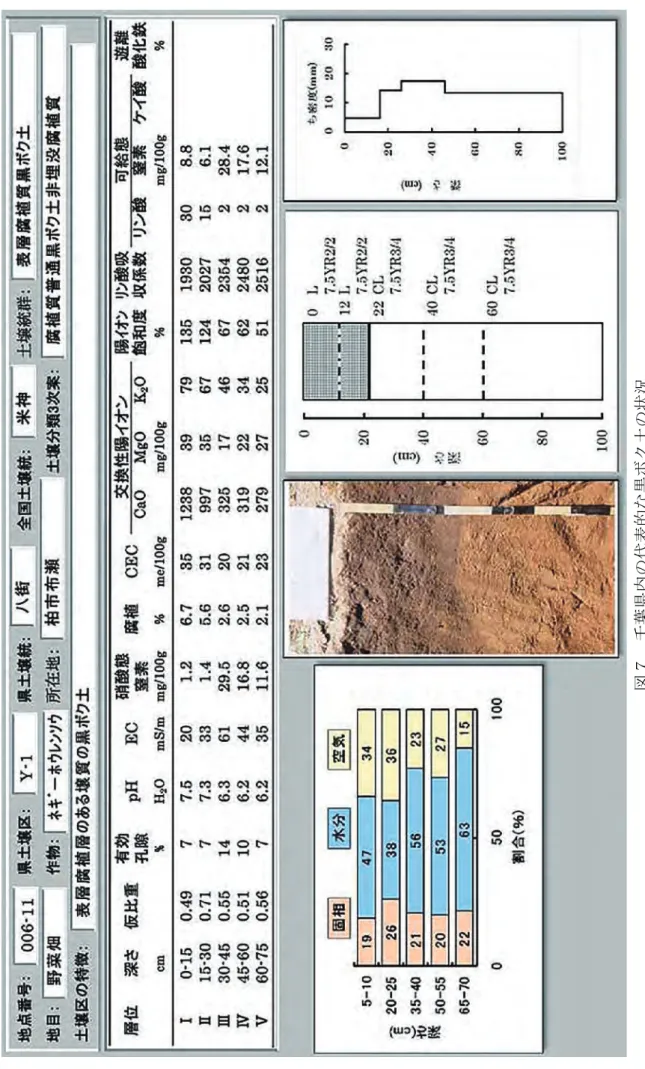 図 ７ 千葉県内の代表的な黒ボク土の状況