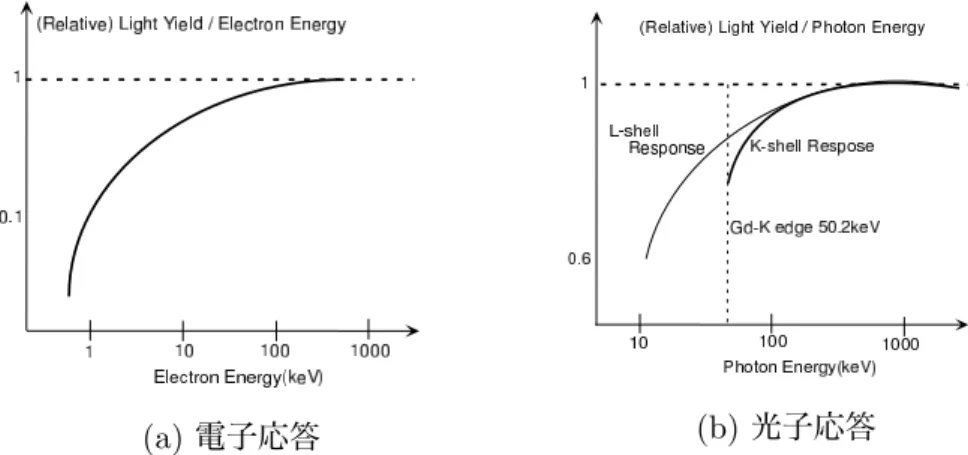 Figure 4.11: GSO 結晶で仮定した電子応答 (a) とそこから予想される光子応答 (b)