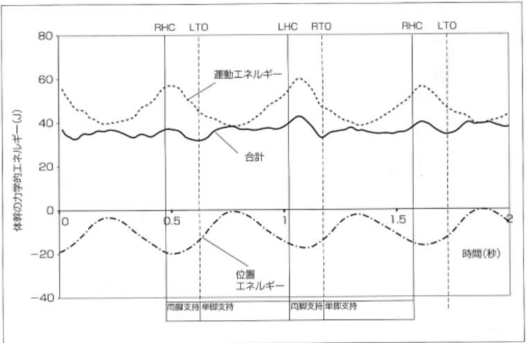 図 10.15: 歩行時のエネルギ [15]