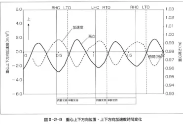 図 10.8: 歩行時の重心の上下運動 (鉛直方向)[15]