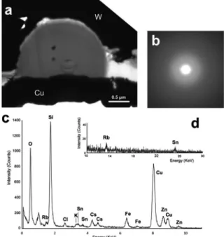 Fig. 1. （a）  TEM image of a CsMP.  （b）  Electron diffrac- diffrac-tion pattern acquired from the CsMP