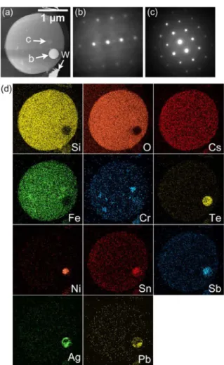 Fig. 4. （Color online） （a）  STEM image of a CsMP.  （b）