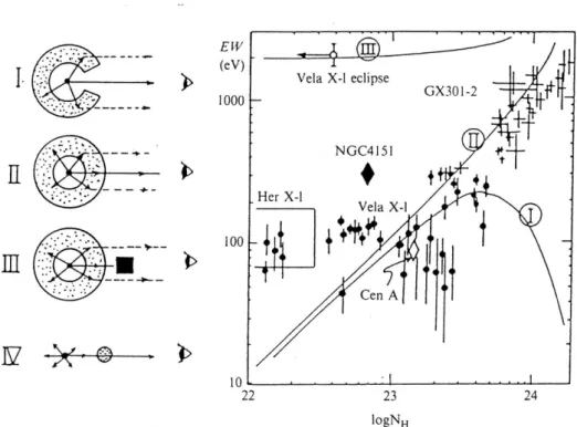 Figure 2.3: Relation between the matter thickness N H and the iron line equiv-