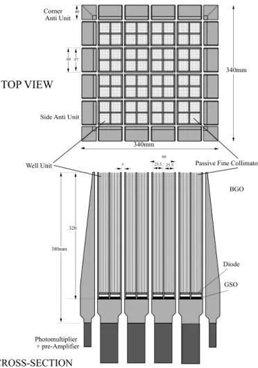 Figure 3.10: Schematic drawing of HXD Sensor. It consists of 16 Well-counter units and 20 Anti-counter units.