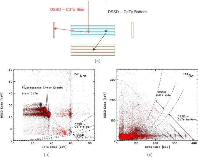 Figure 5.21: Two-dimensional scatter plots of energy deposit in CdTe and DSSD in