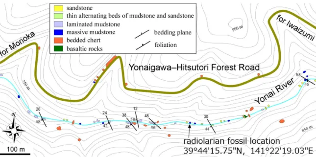 Fig. 2   Route map around the fossil location along the Yonai River, Morioka. Contour lines were referred from the digital  elevation model data (10 m mesh) published by the Geospatial Information Authority of Japan.