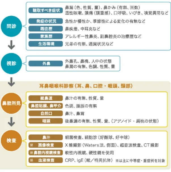 図 1  鼻炎診療の手順とポイント  鼻汁や湿性咳嗽を認める小児では、急性鼻副鼻腔炎がある可能性も念頭に置き、丁寧な問診と鼻腔観察を行う。  まず、いつから、どのような症状があるのかを問診で聴取する。鼻水の色や量、性質（水っぽいか、ねばねばしている か）のほか、いびきの有無についても聞く。鼻が詰まっている場合、睡眠時に口を開けて呼吸するため、いびきを生じ やすい。また、粘性が高かったり痂皮化した鼻汁によって鼻孔が塞がれ、外からは鼻汁が観察されないこともあるの で、『鼻は出ていません』という保護者の言葉を鵜呑