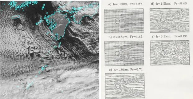図 2: 左図：対に近いカルマン渦列 (Kimura, 1988)、右図：大気の渦列の概略図 (Etling ,1989)