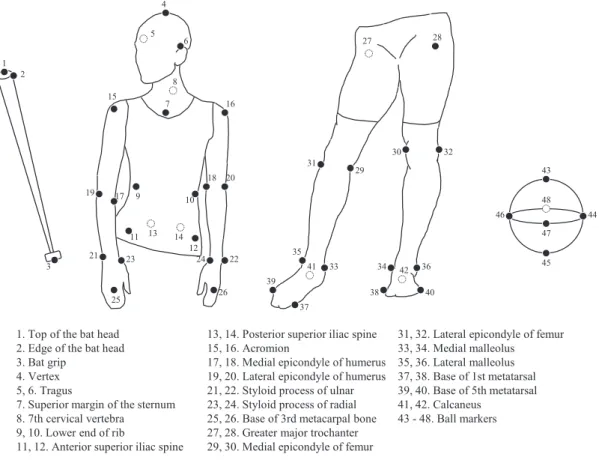 Figure 1  Landmarks of bat, body and ball