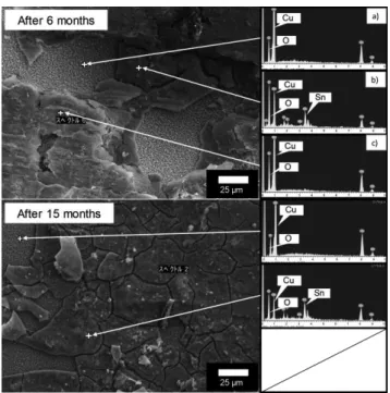 Fig. 7　 SEM observation and EDX analysis of heat–affected part Ⅱ of  the alloy.