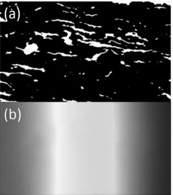Fig. 4　 Direction of flake like graphite in 20 vol.％ composites after cold  rolling with （a） as–received and （b） 20％ in rolling rate.