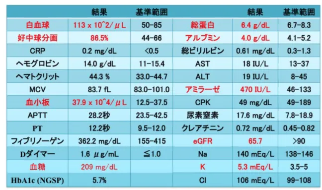 図 1 内科初診時の CT 所見 