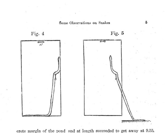 Fig.  4 Fig.  5