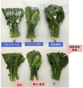 図 .3  包 装 内 ガスの流 れ  図 .3 はホウレンソウの呼 吸 に伴 うガスの流 れを簡 略 化 して示 したものです。ホウレンソウの呼 吸 によって生 成 し た CO₂が主 体 のガスは広 いフィルム幅 の部 分 から第 １ 段 階 の折 り曲 げ通 気 制 限 を受 けつつ粘 着 テープ接 合 部 分 に 進 みま すが、 進 路 を は ばまれて 左 右 のリ ップ に 誘 導 されます。ここには第 ２段 階 の折 り曲 げがあり通 気 制 限 を受 けて通 気 量 はさらに絞 られます。