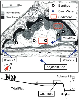 図 -1   「東京港野鳥公園・潮入りの池」所在図  Reed Grass Intertidal Zone N Adjacent Sea  Tidal Flat Channel 1Channel 2ChannelsTidal Flat Adjacent Sea BenthosSea WaterSediment図-2  観測地点概要図 