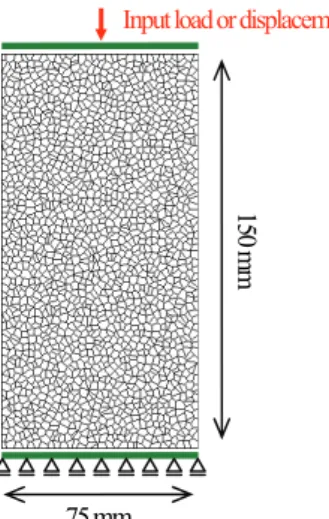 Fig. 11 Mortar model (meshing pattern is different for each  case). 