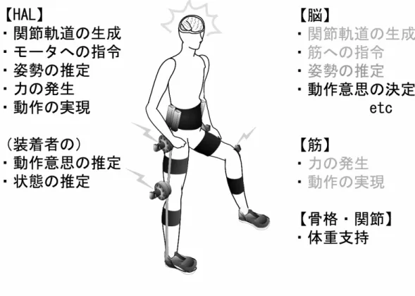 図 1.1 障害者歩行支援における HAL と装着者の担当機能 