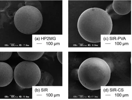 Fig. 1  Scanning electron micrographs of (a) HP2MG, (b) SIR, (c) SIR-PVA, and (d) SIR-CS.