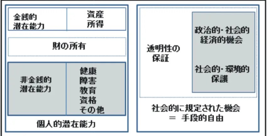 図 1 では、潜在能力の実現可能性を規定する諸因子が、個人的潜在能力と、社会的慣習や制度に